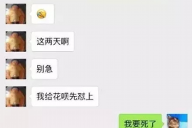 常德贷款清欠服务